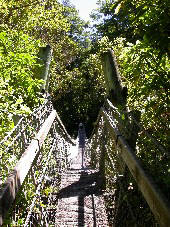 Swing Bridge